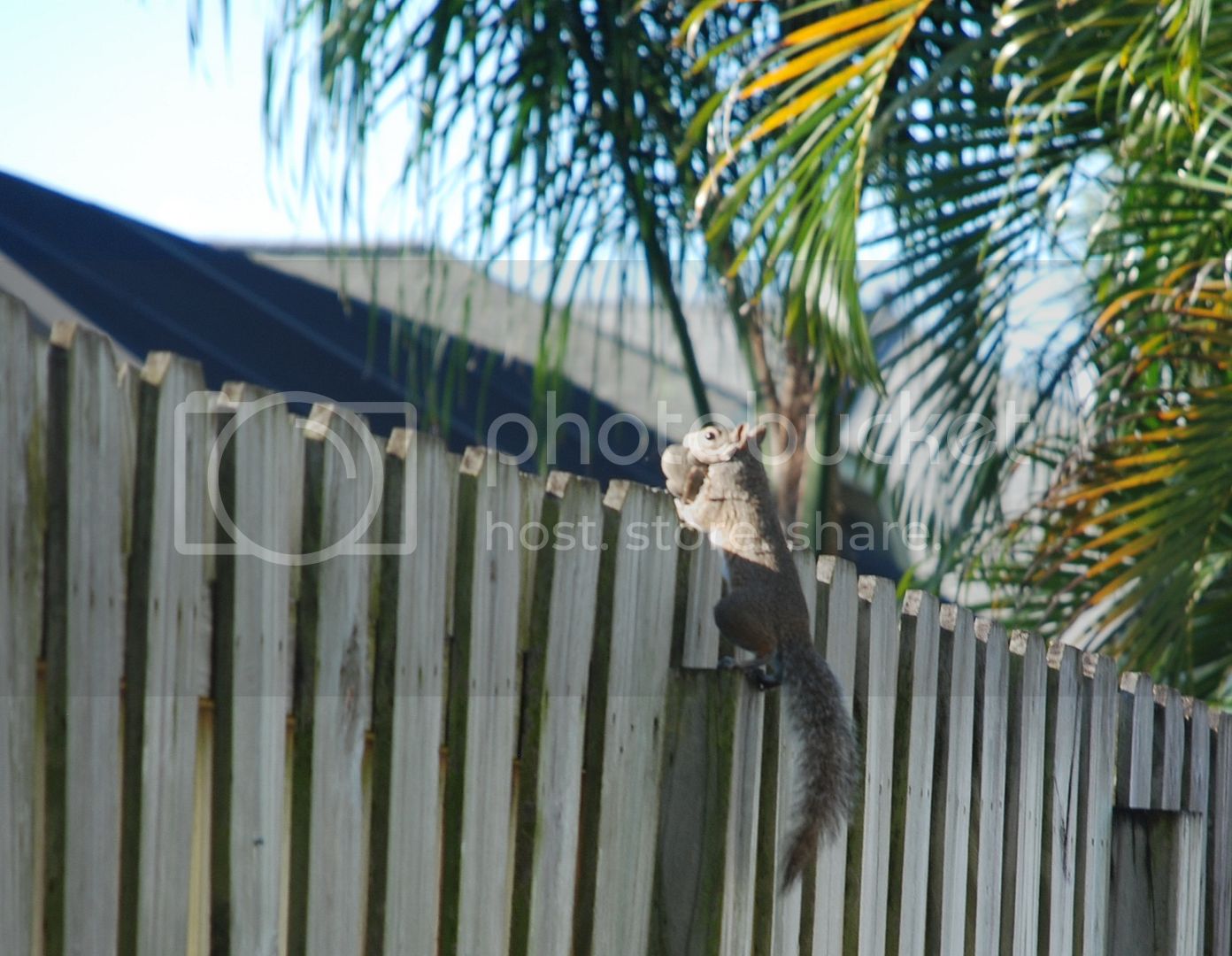 DSC_9293_zpsdae69f22.jpg