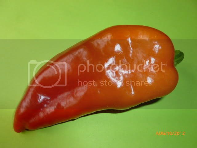 Madona-VladanSmiciklas-RainbowChiliSeedsP1000824.jpg