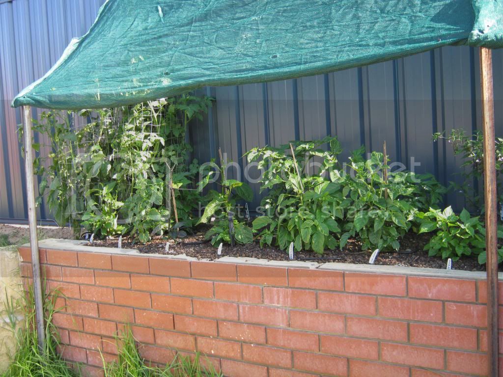 Gardenrecovery010.jpg