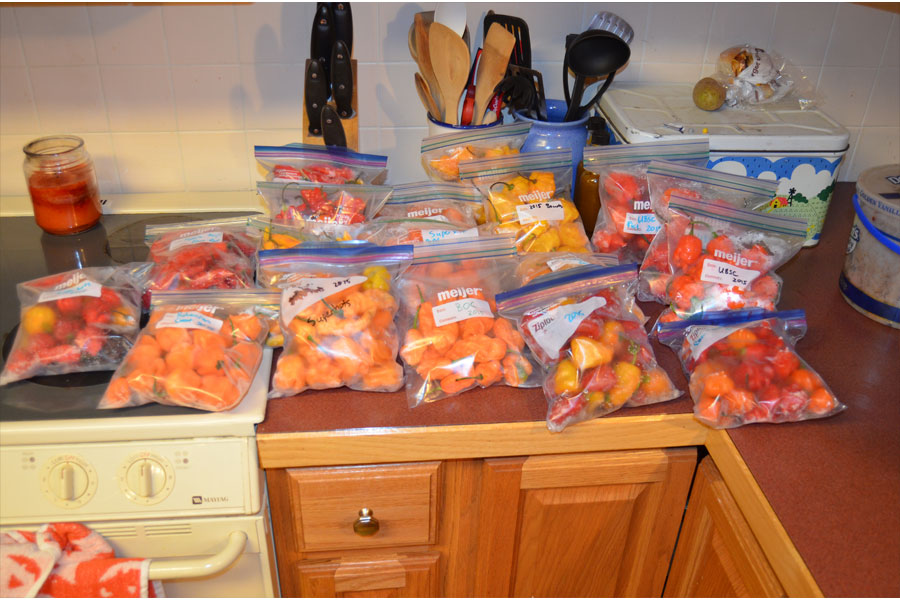 harvest.jpg
