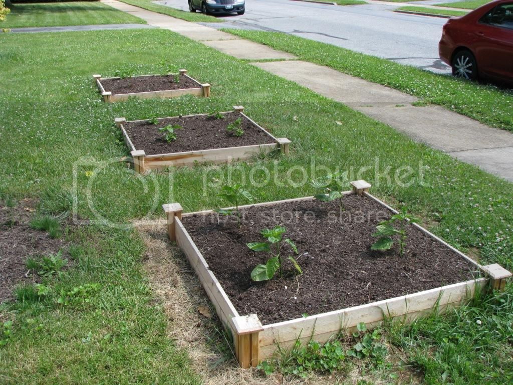 130608FrontGardenBeds.jpg