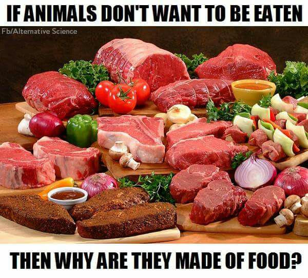 If-animals-dont-want-to-be-eaten....jpg
