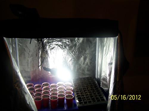7213509794_32ed796420.jpg