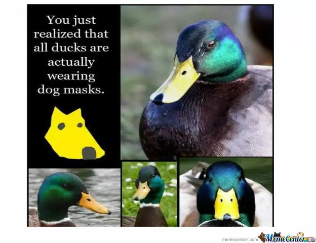 duck-dog-mask-o-545758.png