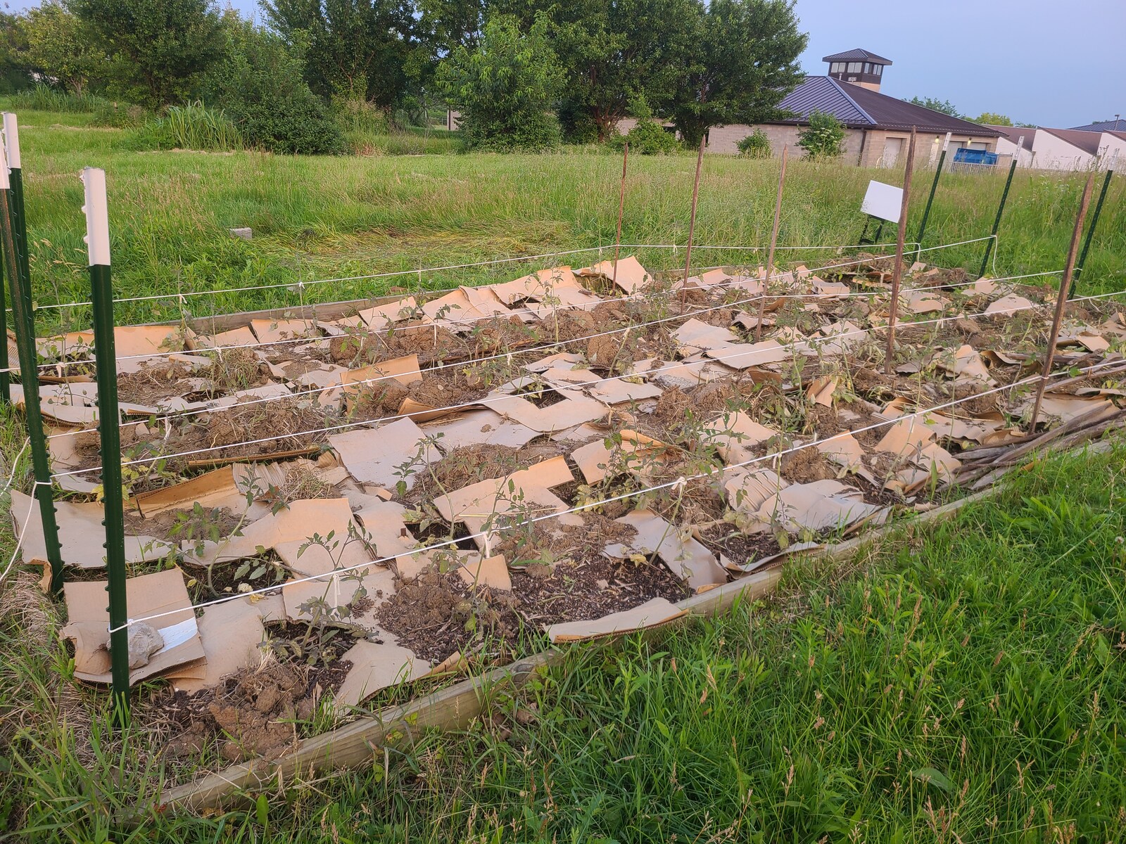 20250601_202839.jpg