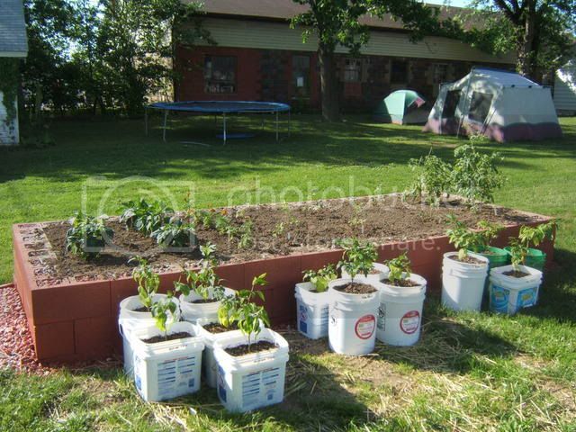 MyGarden2008071.jpg