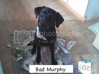 Naughtymurphy-1-1.jpg