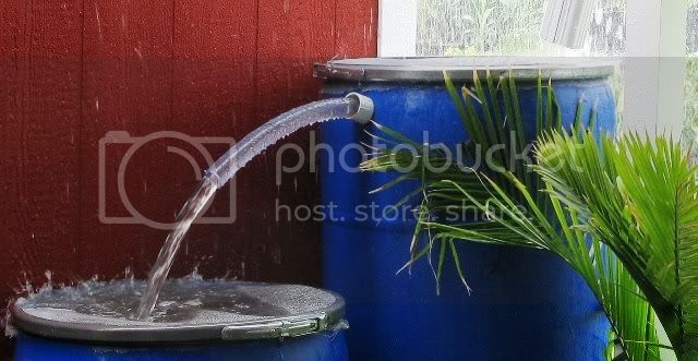 081408RainBarrel1.jpg