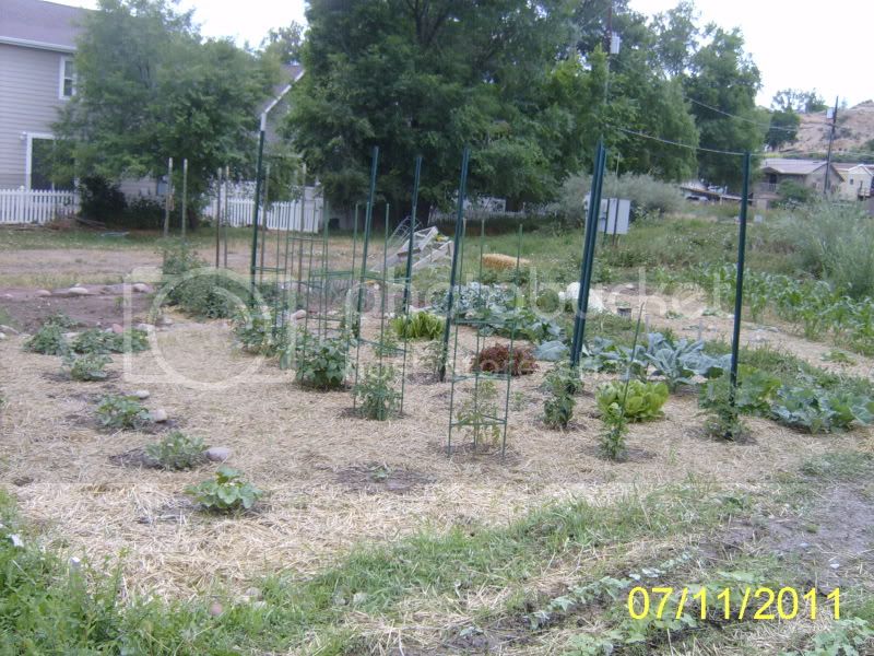 CommunityGarden-Overview7-11-11.jpg