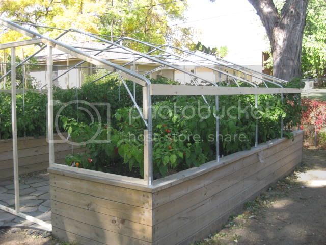 greenhouse005.jpg