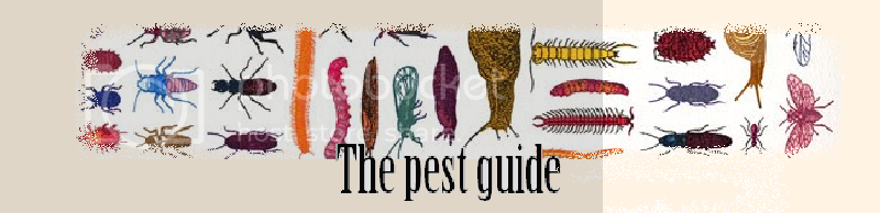 peststopbanner_zpsa3dd1021.png