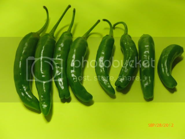 VietnameseThai-VladanSmiciklas-RainbowChiliSeedsP1010410.jpg