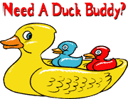 needaduckbuddy-2.gif