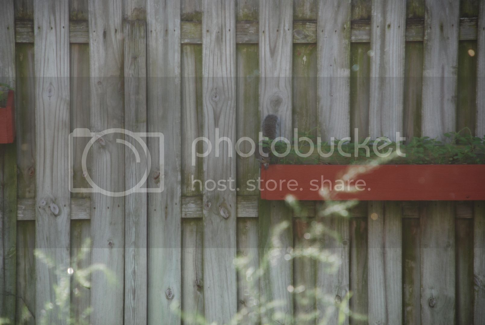 DSC_9218_zpsdc421fff.jpg
