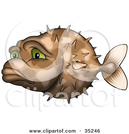 35246-Sad-And-Lonely-Brown-Puffer-Fish-With-Green-Eyes-Poster-Art-Print.jpg