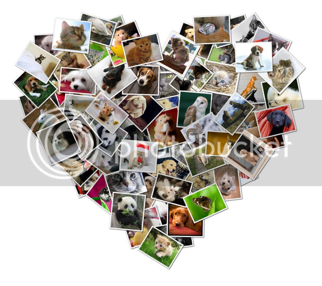 collage-heart-2.jpg