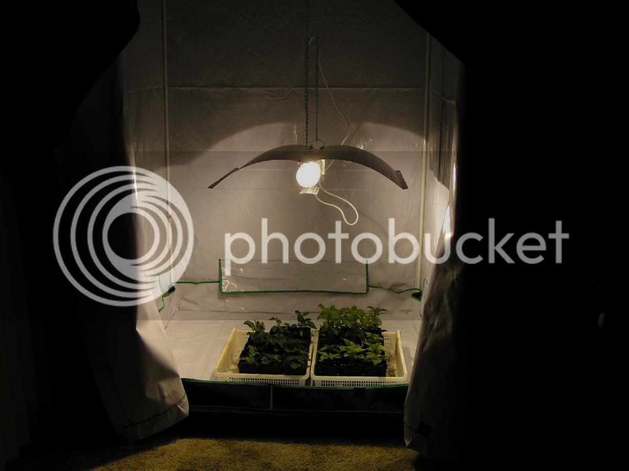 lightofdoom010.jpg
