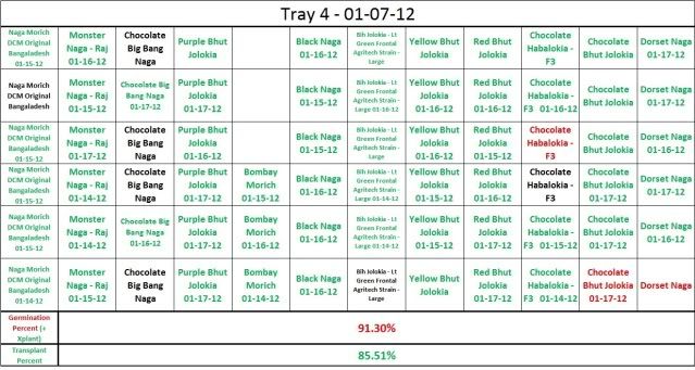 Tray4FinalTransplant201202-11-12.jpg