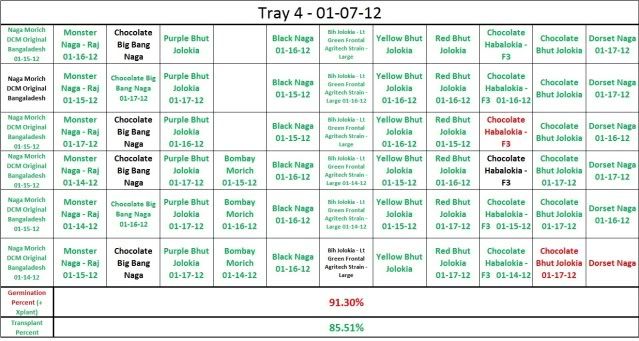 Tray4FinalTransplant201202-11-12.jpg