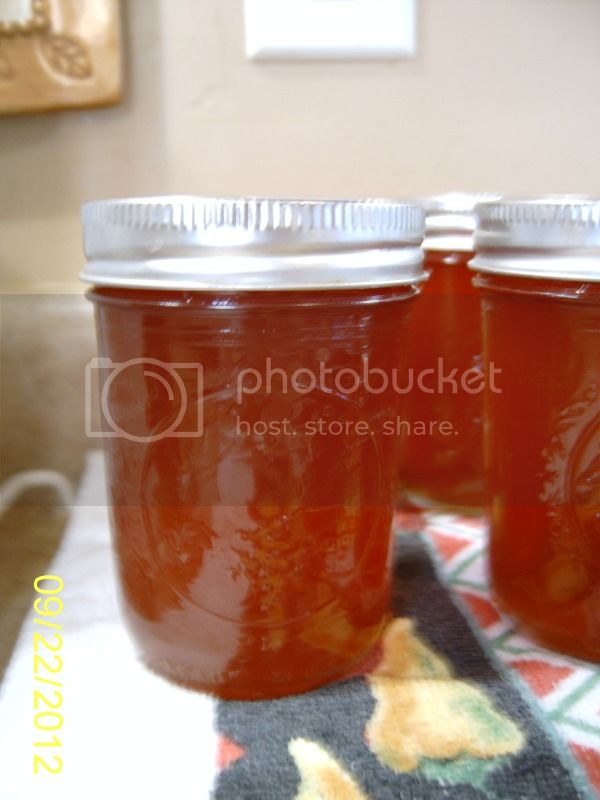 CranberryJalapenoJelly9-22-12_zps8a8d72bb.jpg