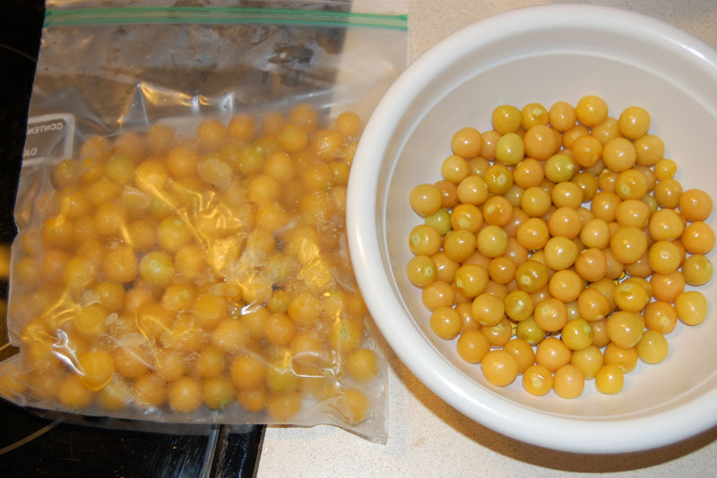 groundcherries.jpg