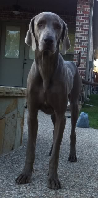 WEIM2A.jpg