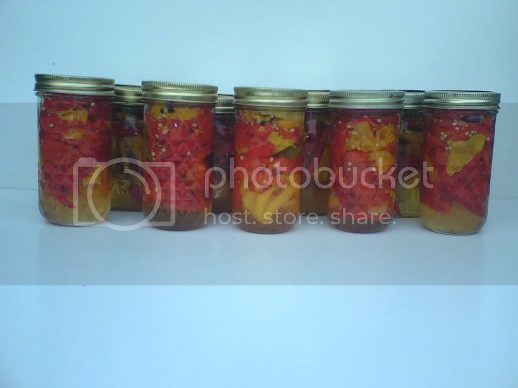 9Jars.jpg