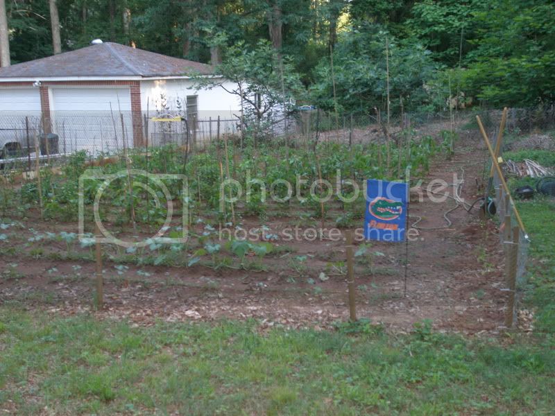 5-30-11GardenShot.jpg