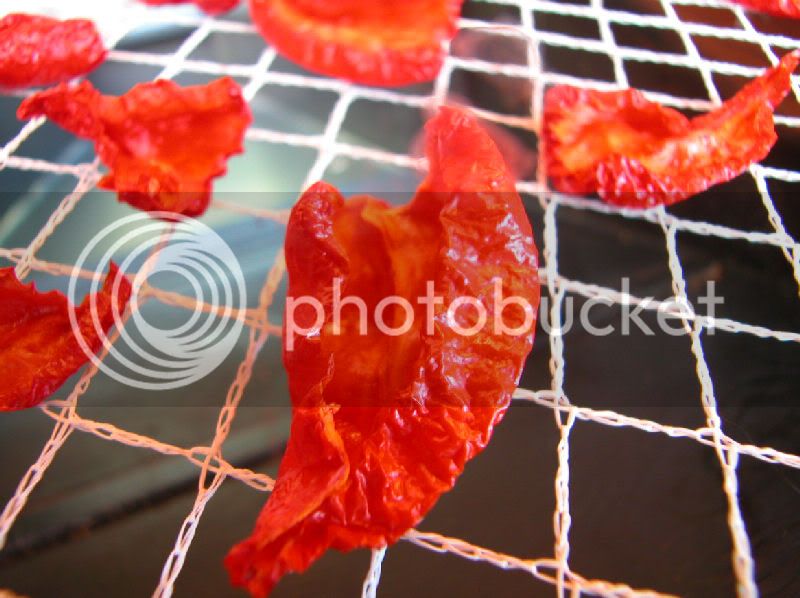 dehydrating6.jpg