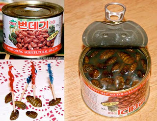 pupae-korean-snacks.jpg