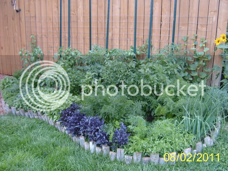 VeggieBed8-2-11.jpg