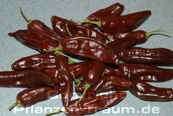 chocolate-fatalii_3.jpg