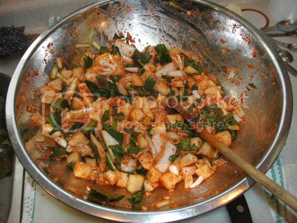 SANY0145.jpg