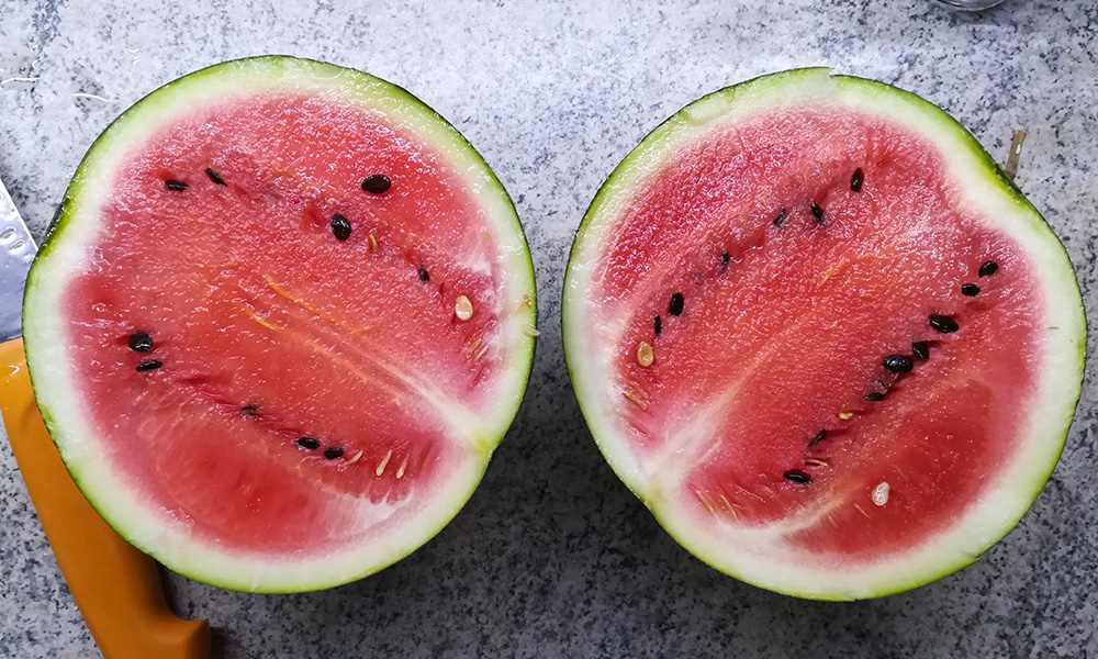 watermelon04102020.jpg