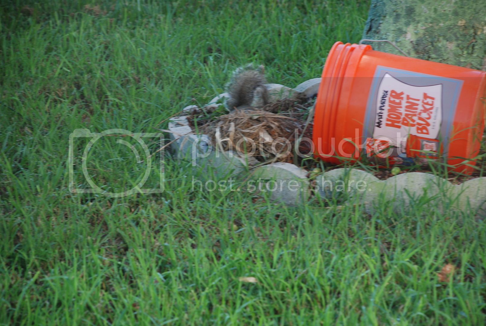 DSC_9257_zps855aed2e.jpg