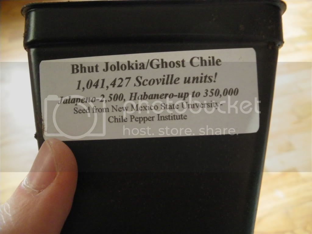 IMGP3133.jpg