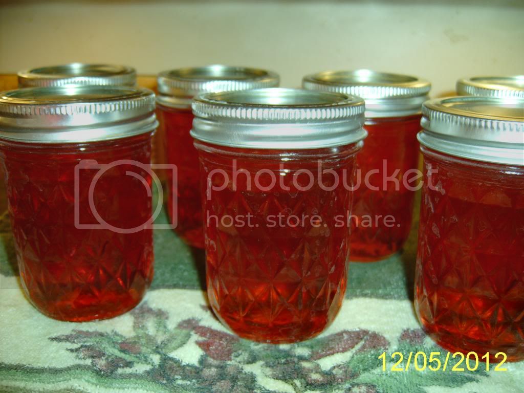 CandyAppleJelly12-6-12.jpg