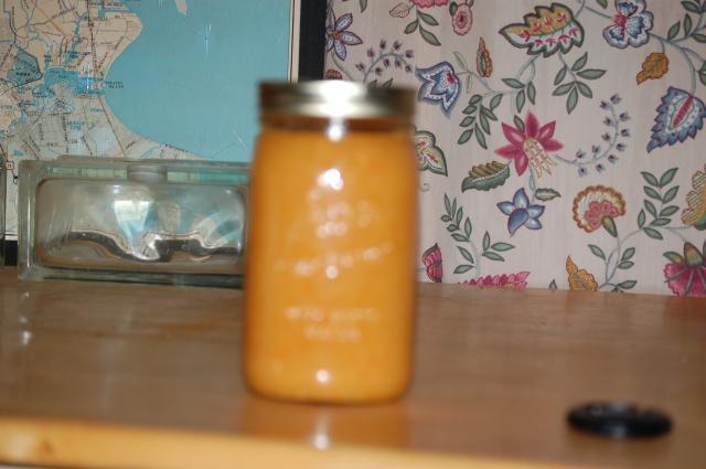 16480_my_first_hot_sauce_makings_01-07-2010_004.jpg