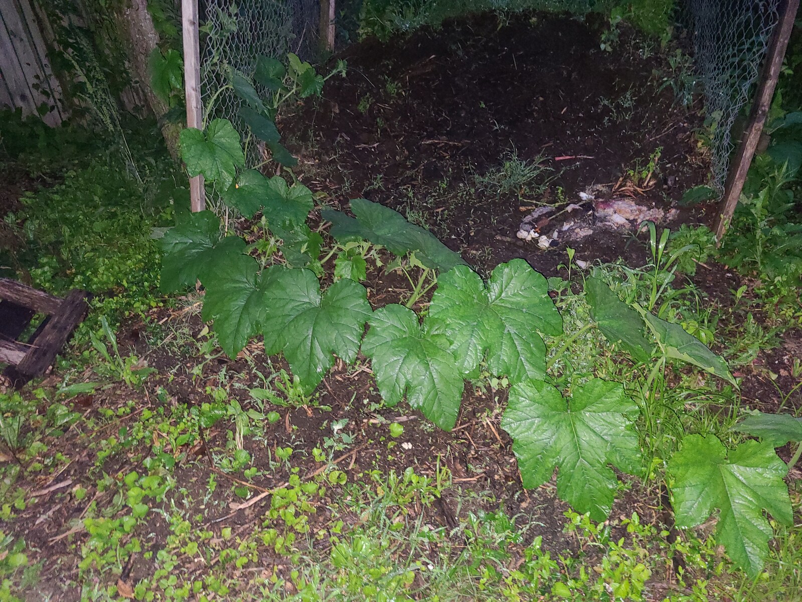 20250617_212210.jpg
