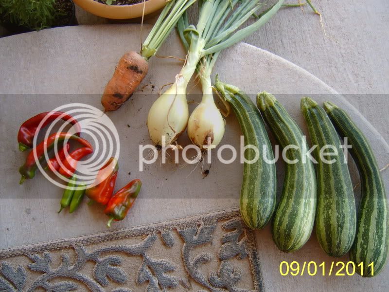 ZucchiniRelishinthemaking.jpg