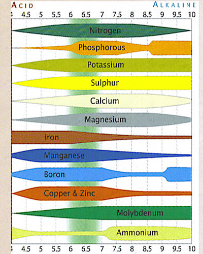 pH_chart.png