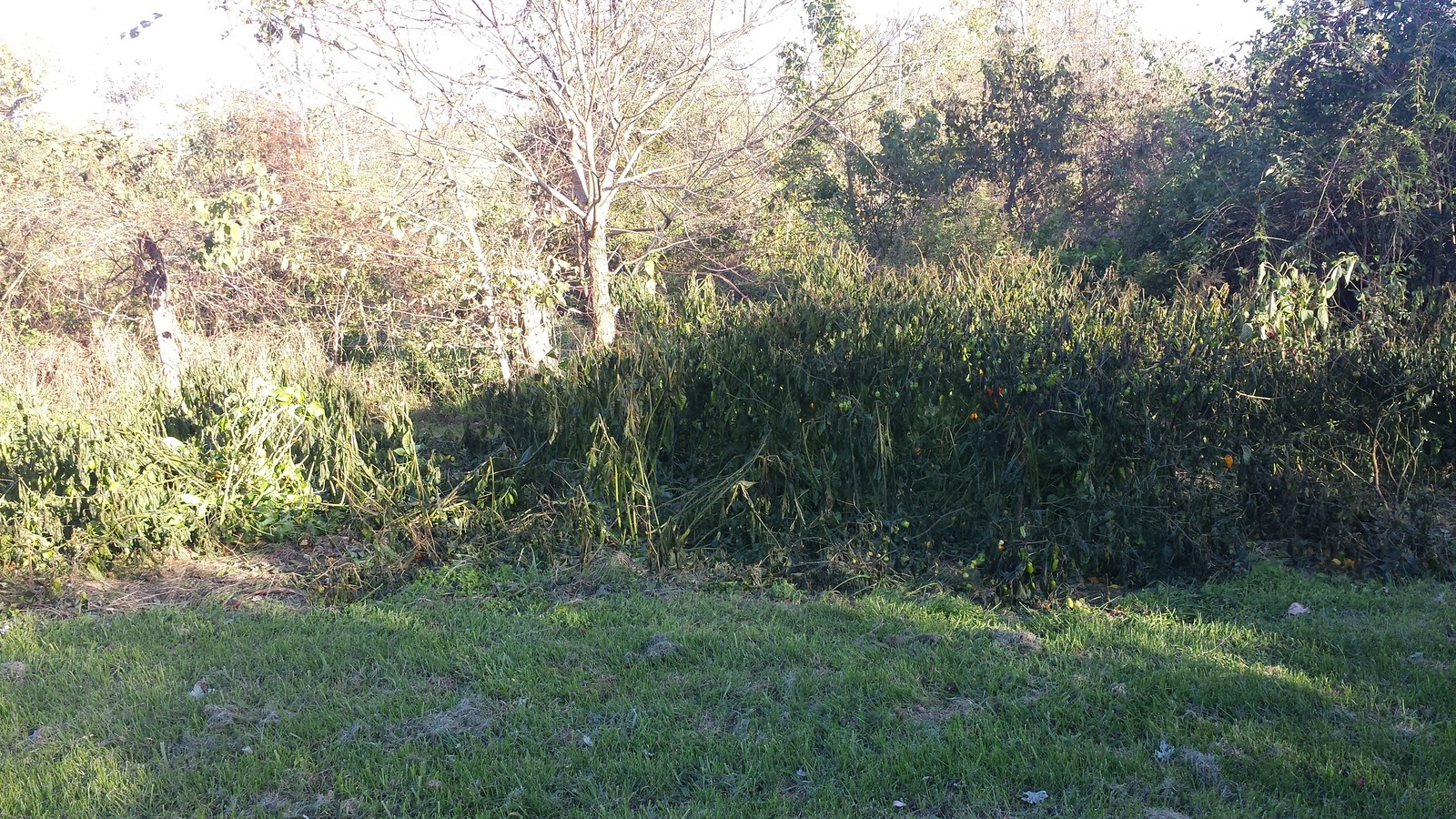 20181022_173751.jpg