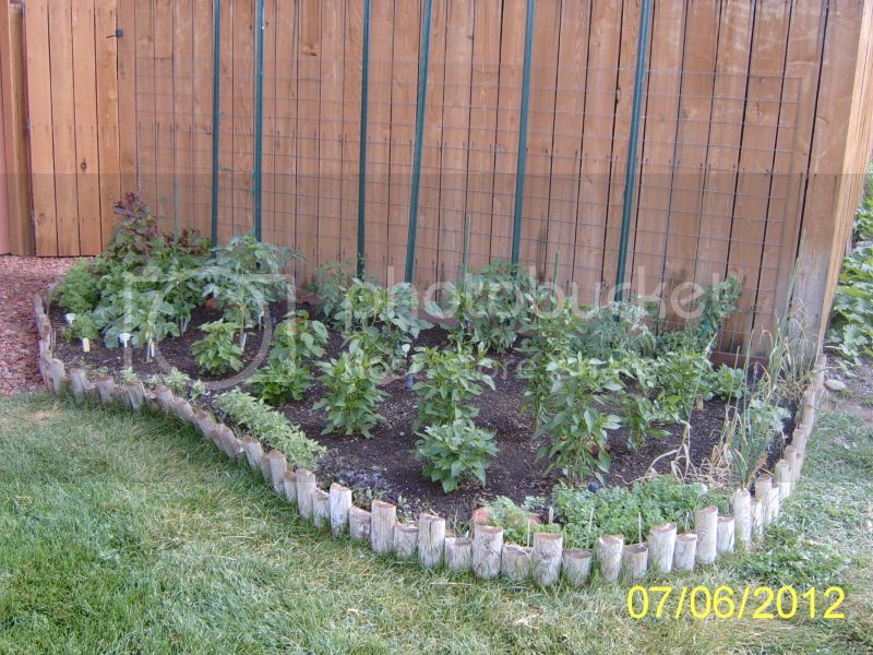 VegetableBed7-6-12.jpg