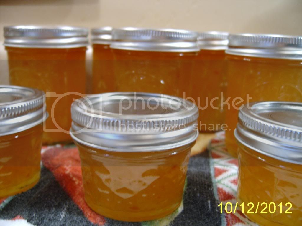 PeachHabaneroJam_zps5761f912.jpg