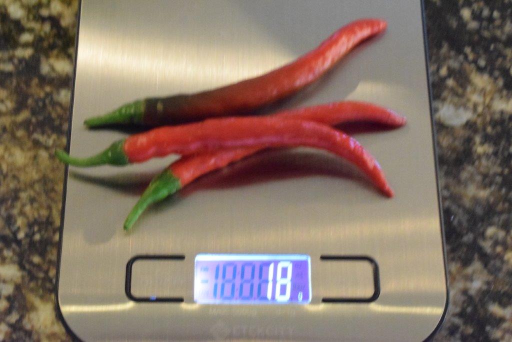 334.jpg