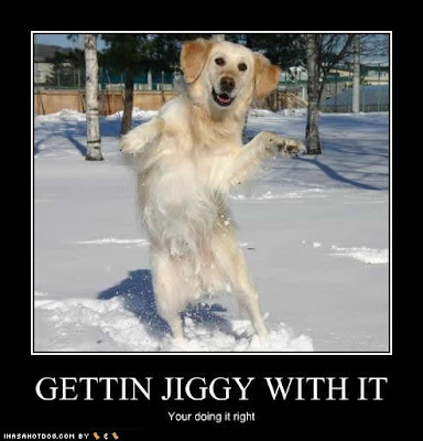 funny-dog-pictures-gettin-jiggy.jpg