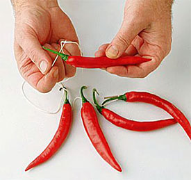 Drying Hot Peppers Ourdoors