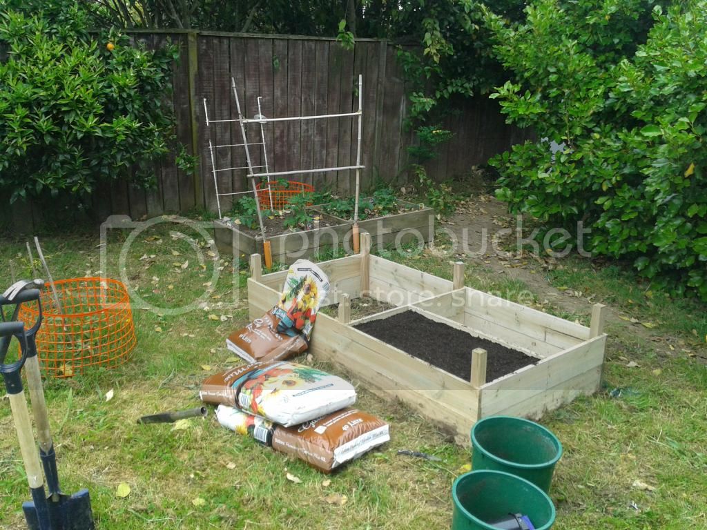 newraisedbed_zpsc7fdc1c7.jpg