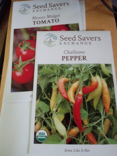 Nadapeno Pepper - Seed Savers Exchange