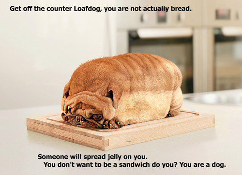 Loaf_2a005f_1689455.jpg